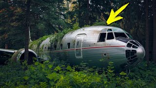 The traveler stumbled upon a plane in the forest. Looking inside, he cried!