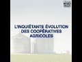 L’inquiétante évolution des coopératives agricoles