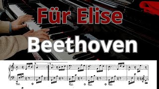 🎹 Beethoven – Für Elise (Per Elisa) | Timeless Piano Masterpiece by Antonio Davì