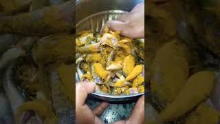 ବିଲ ମାଛ ବେସର 😋😋🐠🐟##best for lunch 🍛🥰#good for health 💕#short video ❤️