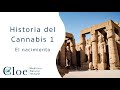 Historia del Cannabis 1 ¿Cómo inició todo?