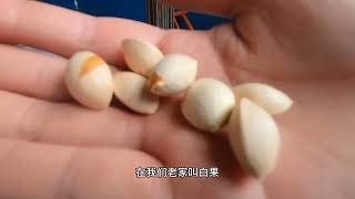 大象家里吃团圆饭 虽然饭菜都很简单家常 但一家人依然幸福感满满