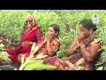 फार्मर कप प्रवास journey of paani foundation s farmer cup farmer prosperity maharashtra