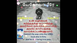 உன் வழியைக் கர்த்தருக்கு ஒப்புவித்து, அவர்மேல் நம்பிக்கையாயிரு; அவரே காரியத்தை வாய்க்கப்பண்ணுவார்.