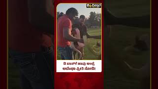 ಡಿ ಬಾಸ್ ಪ್ರಾಣಿ ಕ್ರೇಜ್ ನೋಡ್ರಪ್ಪ | Darshan Poses With a Snake In Dubai | D Boss | Vistara News