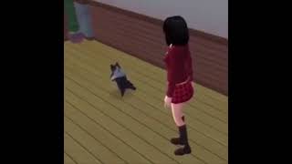 sims cat breakdancing but the drop is synced