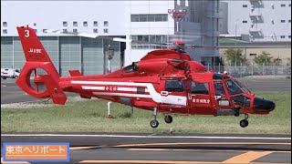 【 4/15 ヘリコプターの日 】 Eurocopter AS365/565 Dauphin 2/Panther JA119E 東京消防庁航空隊「かもめ３」の離陸・東京ヘリポート