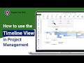 How to use the Timeline View in Project Management | Project Plan 365