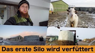 FarmVLOG#190 - Das erste Silo wird verfüttert