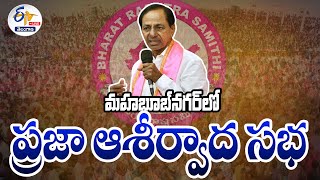 🔴LIVE: Mahbubnagar | CM KCR Praja Ashirvada Sabha | మహబూబ్‌నగర్‌లో భారాస ప్రజా ఆశీర్వాద సభ