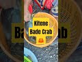 alibaug fish market me kitne bade crab mile.crab🦀🦀🦀🦀 shortvideo