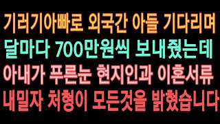 실화사연 - 기러기아빠 생활하며 가족들 보고싶은 거 꾹 참고 달마다 700만원씩 꼬박꼬박 보내줬는데 결국 나에게 돌아온 건 푸른 눈의 현지인 이였습니다.