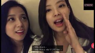 [VIETSUB] Jisoo “Mình và Jendeuk đang dùng chung phòng, Chaeyoung và Lisa đang ở phòng bên”