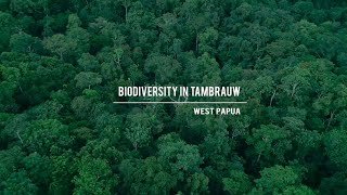 Biodiversity in Tambrauw West Papua Long Version