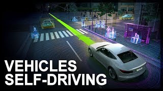 Impact of autonomous vehicles