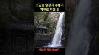 스님들 명상과 수행이 저절로 되겠네! 사찰 옆 시원한 폭포 좋네!