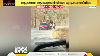 വയനാട് മുത്തങ്ങ- ബന്ദിപ്പൂർ വനമേഖലയിൽ കാട്ടാന ആക്രമണം