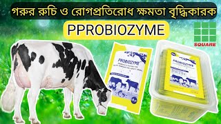 Probiozyme vet powder|গরুর রুচি ও রোগপ্রতিরোধ ক্ষমতা বৃদ্ধিকারক ঔষুধ প্রবায়োজাইম ভেট|mollahkrishitv