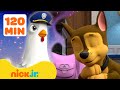 PAW Patrol Pups Have Weird Dreams! #2 w/ Chase & Chickaletta | 2 Hours | Nick Jr.