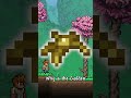 What's The Rarest Item in Terraria?