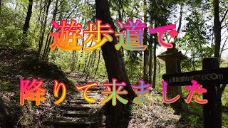 ４月１７日晴れ春の鬼住山遊歩道で降りて来ました