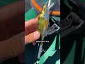 Will this SUPER Realistic Lure Catch Fish?? #shorts #fishing