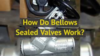 How Do Bellows Sealed Valves Work?