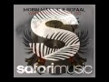Wherever You Will Go - Mobin Master and Royaal (Mobin Master Rework)
