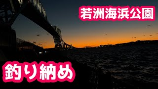 【釣り納め】若洲海浜公園へ釣り納めへ行って徳を積んできた！【マイワシは？】