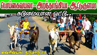 நடுமாடு வைரிவயல் 27/04/2022 nadumadu vairivayal ksk rekla race krish rekla race