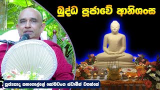 බුද්ධ පූජාවේ ආනිශංස | Kahagolle Somawansha Thero | Dharma Deshana | D 0479