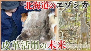 北海道 エゾシカの皮革活用への挑戦と想い