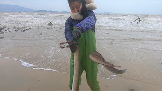 皮皮赶海走进出水口，看见大猛货被排出来，越抓越兴奋挺刺激的