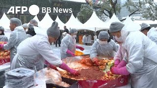 雪の中で大量のキムチ作り 白菜3000個使用 韓国（2024年11月撮影）