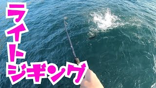 瀬戸内海 ライトジギング