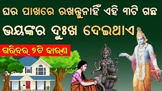 ଘର ମୁହରେ ଭୁଲରେବି ରଖନ୍ତୁ ନାହି ଏହି ଗୋଟିଏ ଗଛ ସବୁ ଧନ ପାଣି ପରି ବୋହି ଯିବ | ଓଡିଆ ବାସ୍ତୁ ଟିପ୍ସ