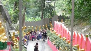 20120205 萬佛寺/排頭坑/黃竹洋脊/火炭 Part01