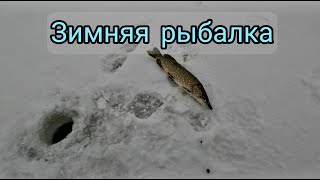 Зимняя рыбалка на сломе погоды.