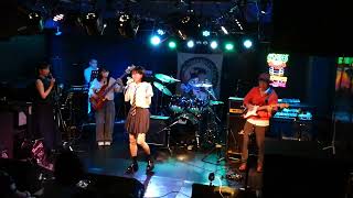 セシル／浅香唯（cover）20240622　セッションライブ 세실/아사카 유이