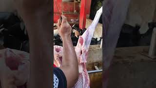 Wow Beautiful Mutton 2 Lag's Processing #trending #shorts