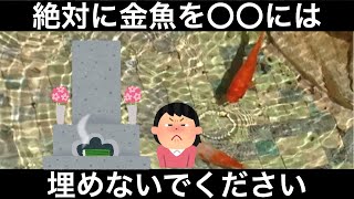 金魚が死んだら埋める？川に流す？絶対にしてはいけない処理方法について解説します