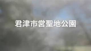 君津市聖地公園紹介動画【千葉県／君津市】