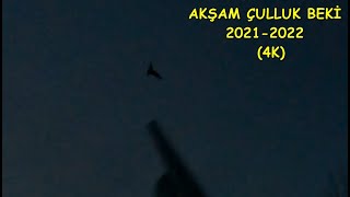 Çulluk Avı 2021-2022 Akşam Çulluk Beki (4K) Woodcock Hunt