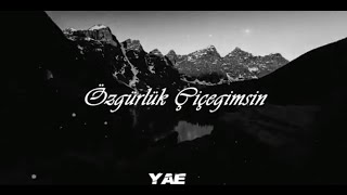 Özgürlük Çiçeğimsin - Kurdish Trap Remix - Prod By {Yusuf Arda Erkmen \u0026 Mmt Music } #Halitbilgiç