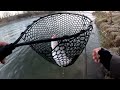 მდინარის აჩრდილი favorite rapid ზე vs fresh lures