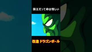 ドラゴンボール：ピッコロ大魔王に魂を売ってしまう国王