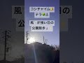 コシチャイム🔔テラ🌳＃shorts