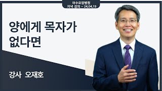 [힐링 강의] 저녁 24. 04. 19ㅣ강사 오재호 - 양에게 목자가 없다면