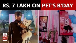 Ahmedabad: Pet Dog Gets Rs 7 Lakh Worth Birthday Bash, Owners In Jail | NewsMo