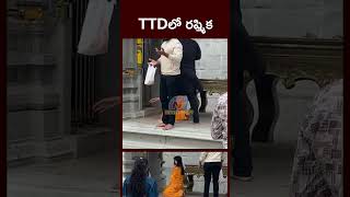 TTDలో రష్మిక...Rashmika Visits TTD Temple Hyderabad | Ntv ENT